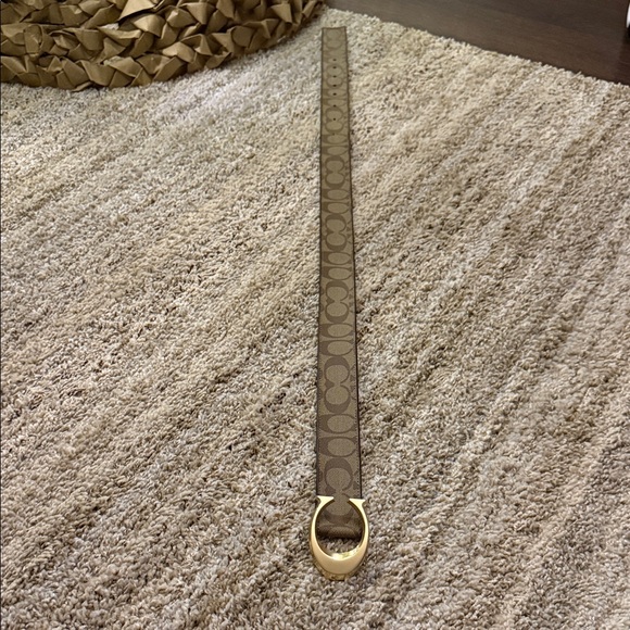 Brown and Gold Women's Belt - Picture 3 of 4